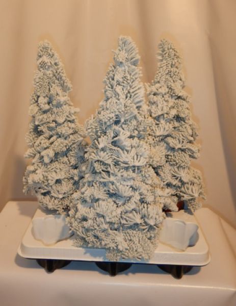 SAPIN GIVRE