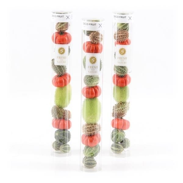 DECO FRUIT TUBE
