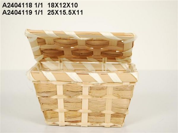 A2404118 COFFRE