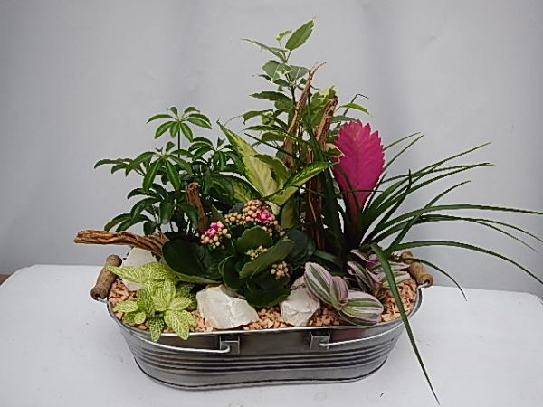 TERRINE JARDIN METAL n°09