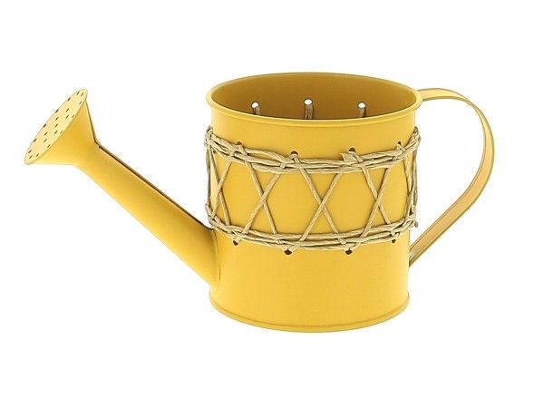 21NG1195-J ZINC ARROSOIR JAUNE