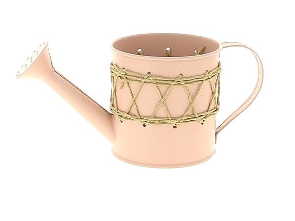 21NG1195-PK ZINC ARROSOIR ROSE