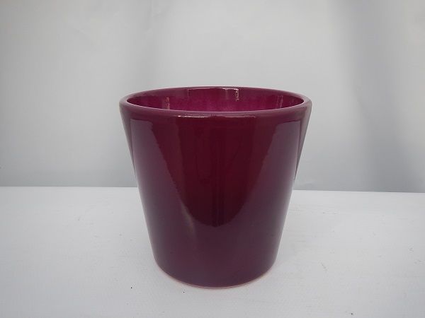CP 103.13.10 VIOLET