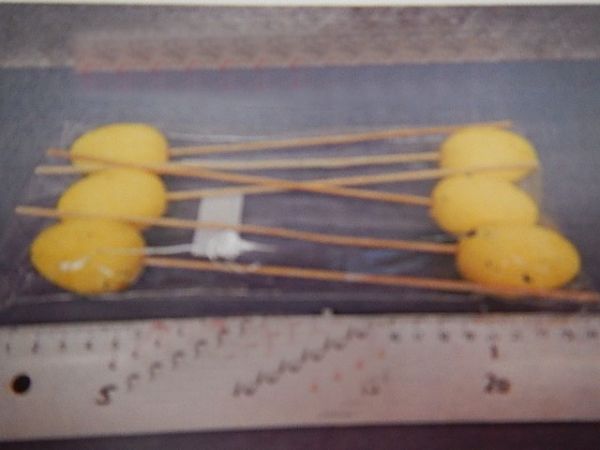 T2418117 PIC OUEF JAUNE