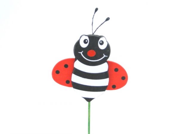 16HH1031 PIC COCCINELLE