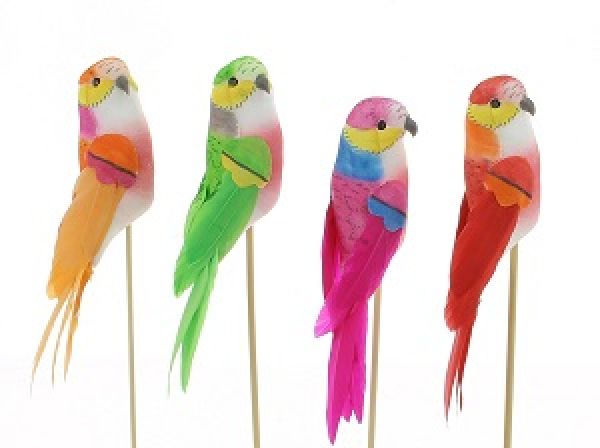 19PL1008 PIC OISEAU ASS