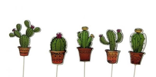 20LX1000 PIC CACTUS