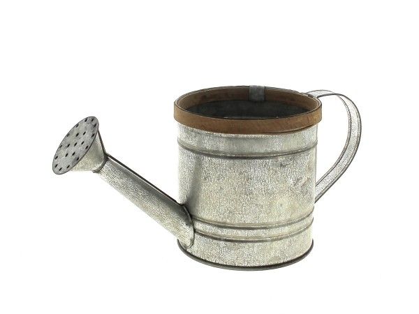 22NG1092-NT ARROSOIR ZINC REBORD BOIS