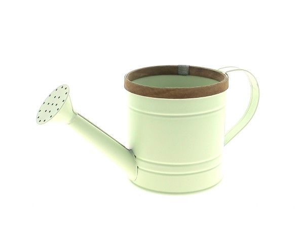22NG1092-V ARROSOIR ZINC REBORD BOIS