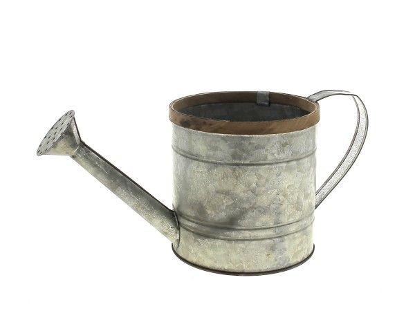 22NG1093-NT ARROSOIR ZINC REBORD BOIS