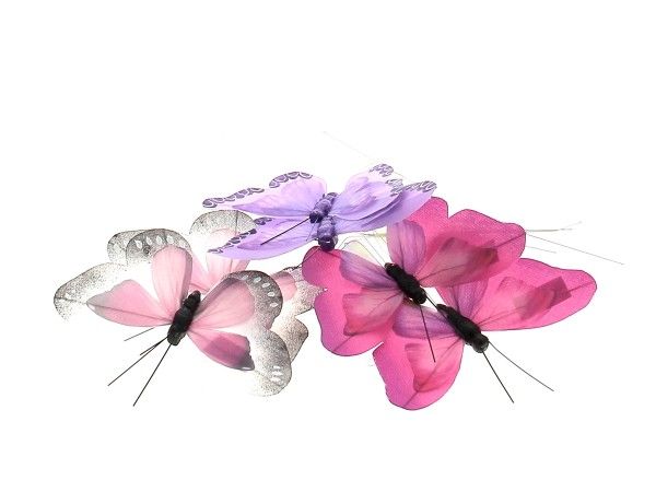 22AY1054-A3 PIC PAPILLON BOIS