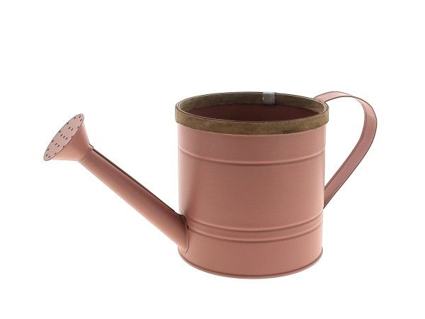 22NG1093-PK ARROSOIR ZINC REBORD BOIS ROSE
