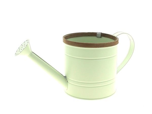 22NG1093-VC ARROSOIR ZINC REBORD BOIS VERT CLAIR