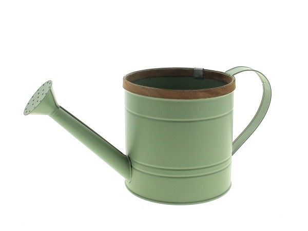 22NG1093-VF ARROSOIR ZINC REBORD BOIS VERT FONCE