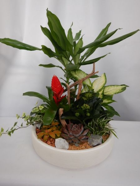TERRINE JARDIN N0 2