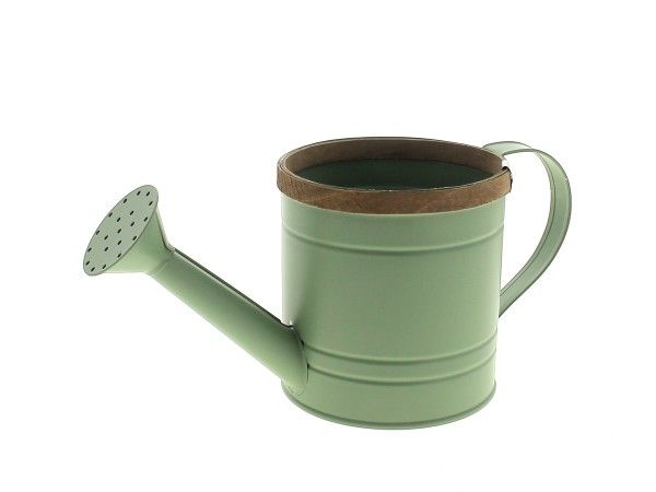 22NG1092-VF ARROSOIR ZINC REBORD BOIS VERT FONCE