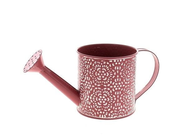 22NG1119-FX ARROSOIR ROSACE FUXIA