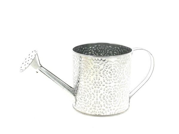 22NG1119-NT ARROSOIR ROSACE NATUREL