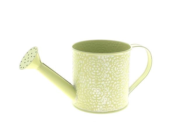 22NG1119-V ARROSOIR ROSACE VERT