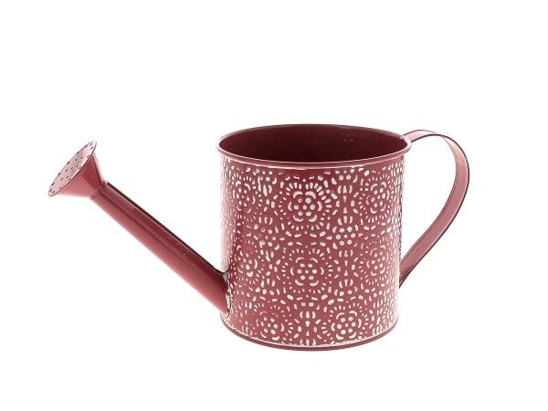 22NG1120-FX ARROSOIR ROSACE FUXIA