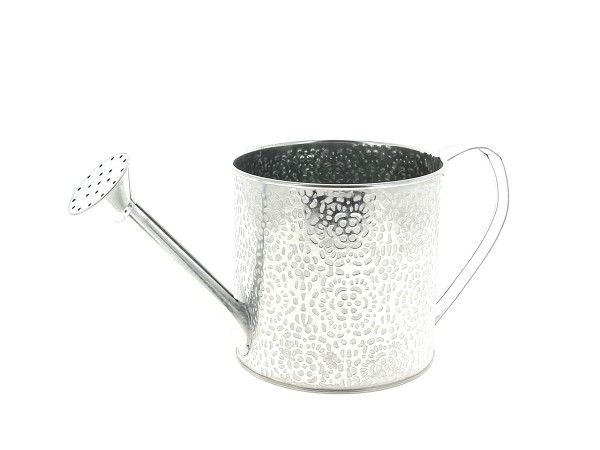 22NG1120-NT ARROSOIR ROSACE NATUREL