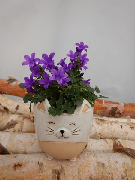 OFFRE MAI 01