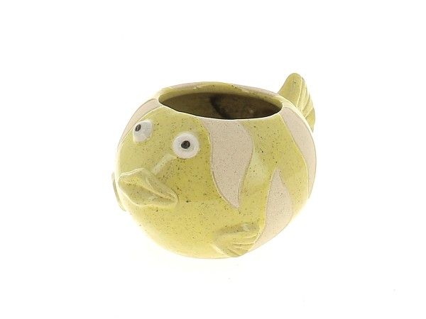 22DL1145 CP POISSON JAUNE