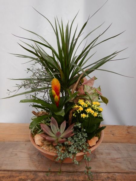 TERRINE JARDIN N0 1