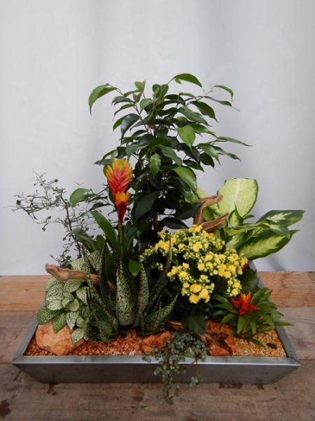 TERRINE JARDIN N0 3