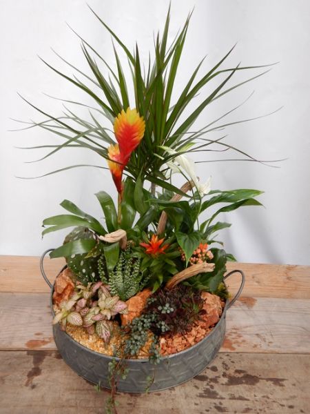 TERRINE JARDIN N0 2