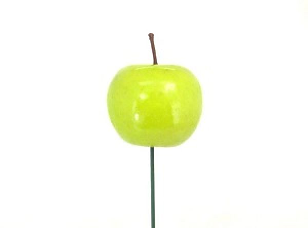 16AY1014 PIC POMME