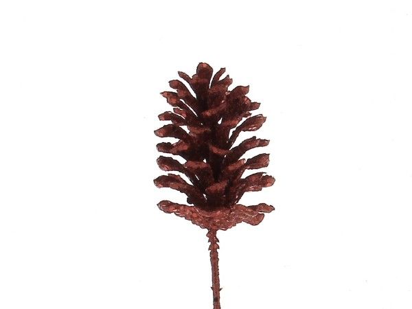 20XY2000-R PIC POMME DE PIN ROUGE