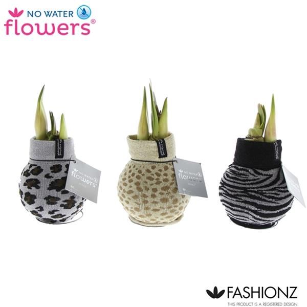 AMARYLLIS WAX PATTERNS