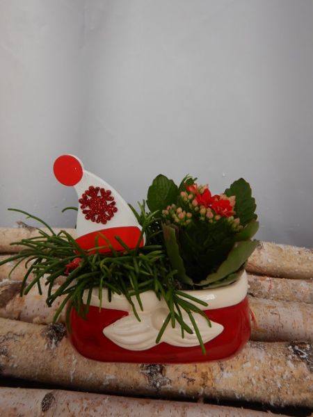 OFFRE DECEMBRE 08