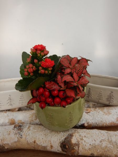 OFFRE DECEMBRE 09