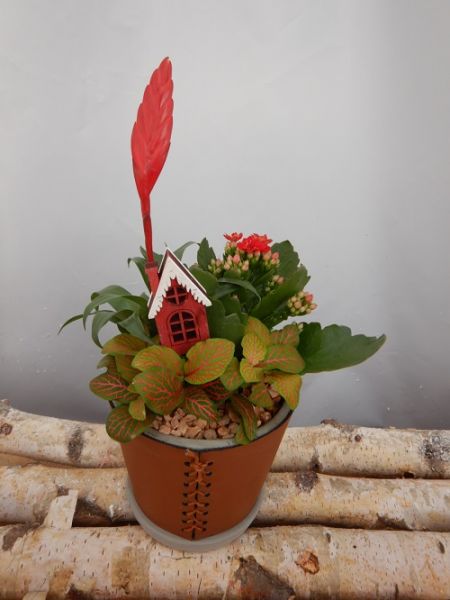 OFFRE DECEMBRE 14