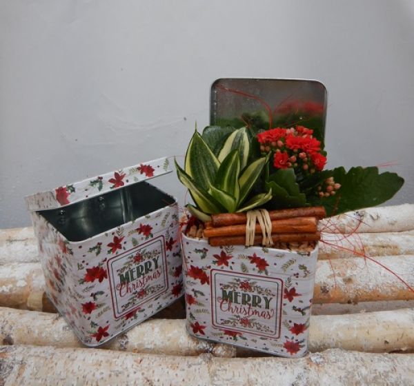 OFFRE DECEMBRE 17