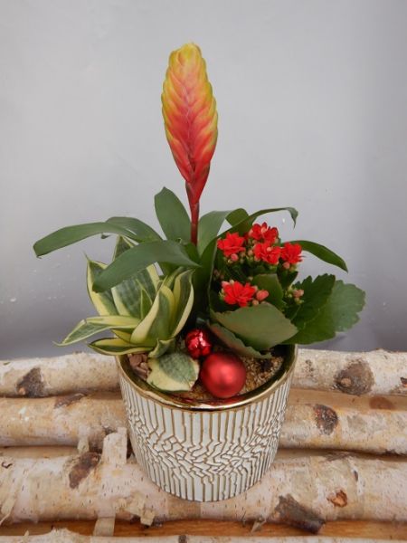 OFFRE DECEMBRE 21