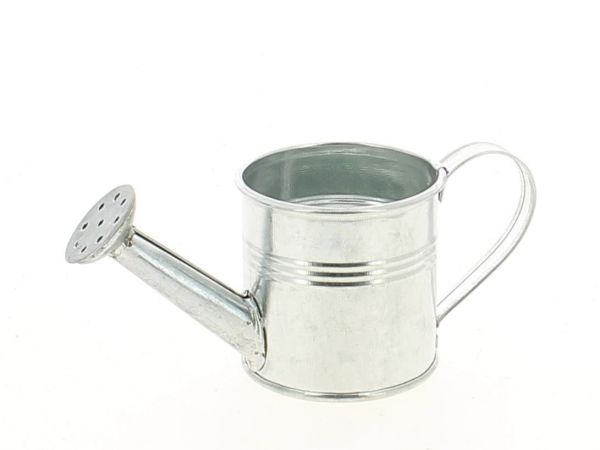23K18049 ZINC MINI ARROSOIRS