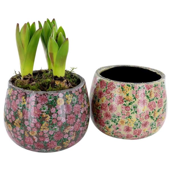 O-HYACINTHUS - LATE FASHION 3603