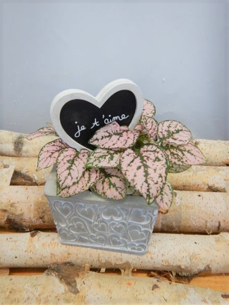 OFFRE ST-VALENTIN 01