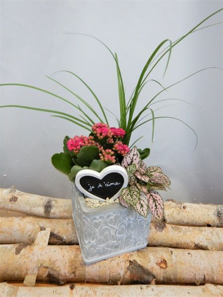 OFFRE ST-VALENTIN 02