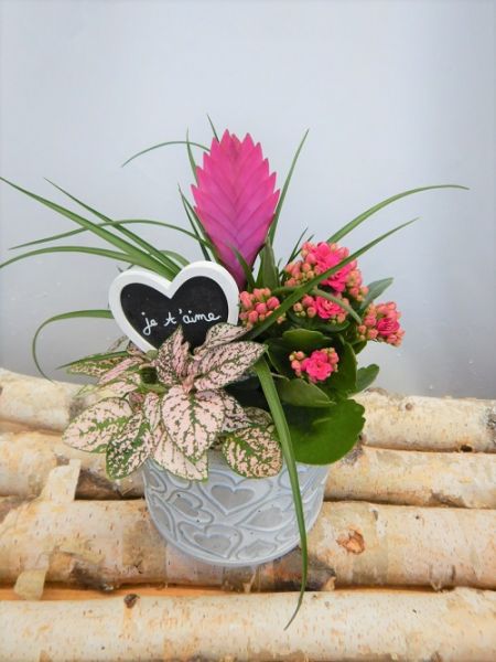OFFRE ST-VALENTIN 03