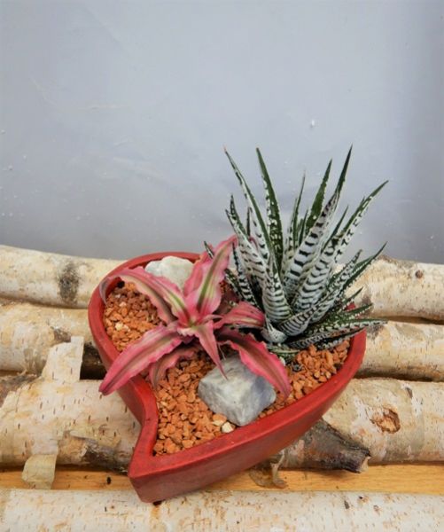 OFFRE ST-VALENTIN 05
