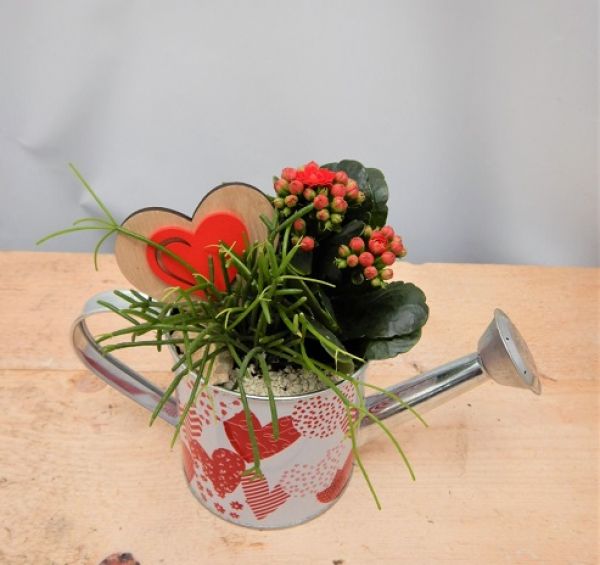 OFFRE ST-VALENTIN 06