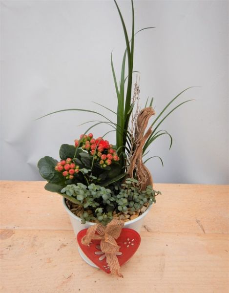 OFFRE ST-VALENTIN 07