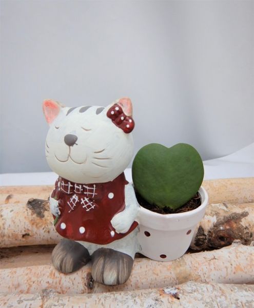 OFFRE ST-VALENTIN 09