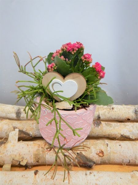 OFFRE ST-VALENTIN 10