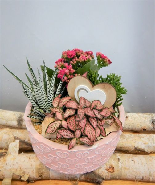 OFFRE ST-VALENTIN 11