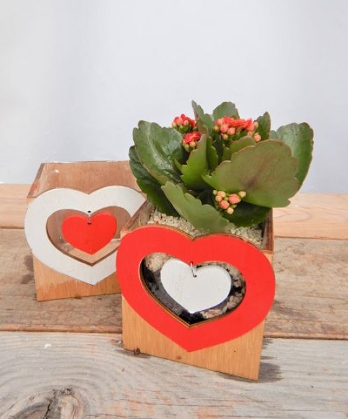 OFFRE ST-VALENTIN 12